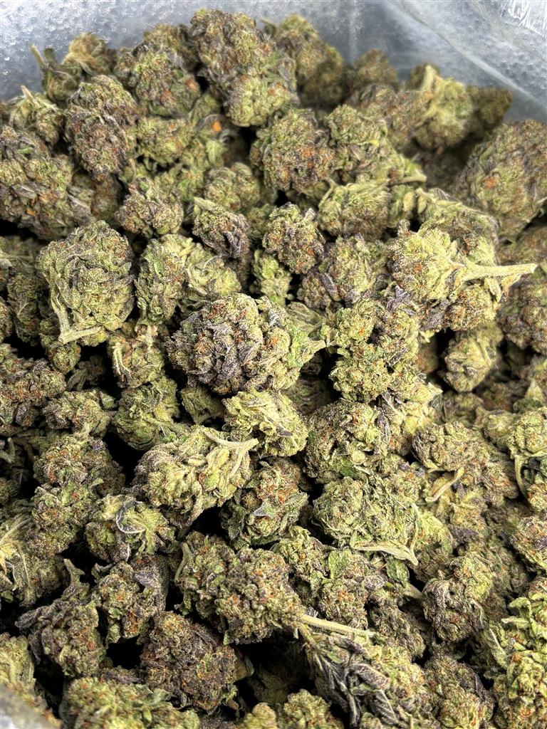 BG Gelato Indoor