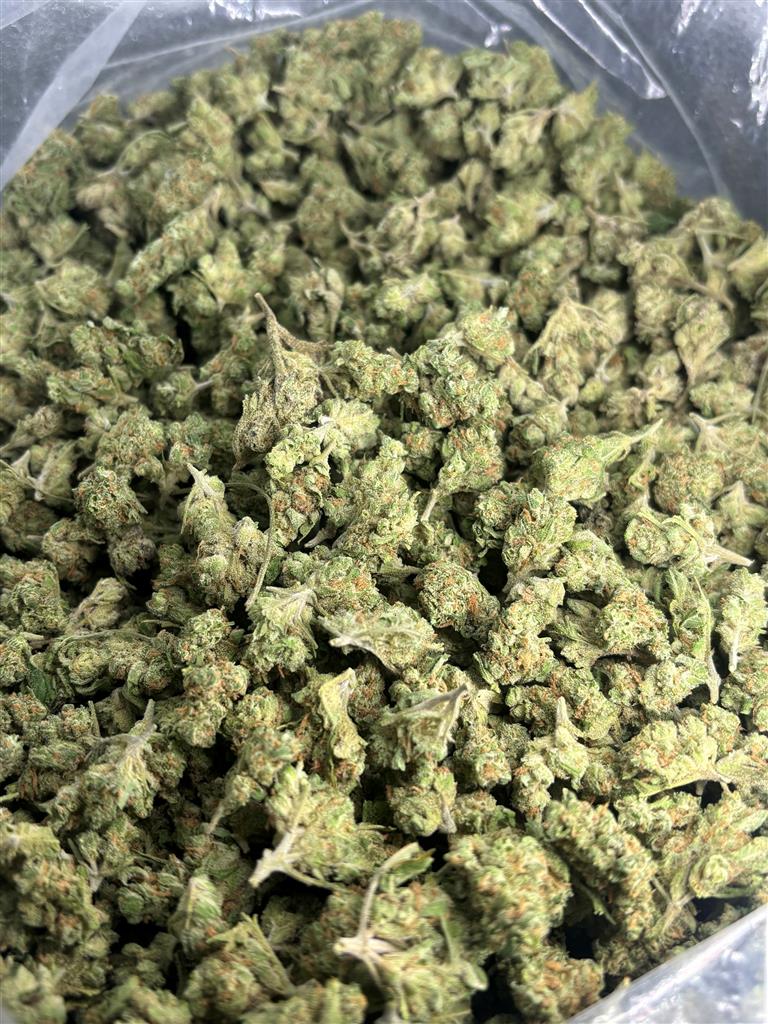 Blue Dream Indoor Smalls