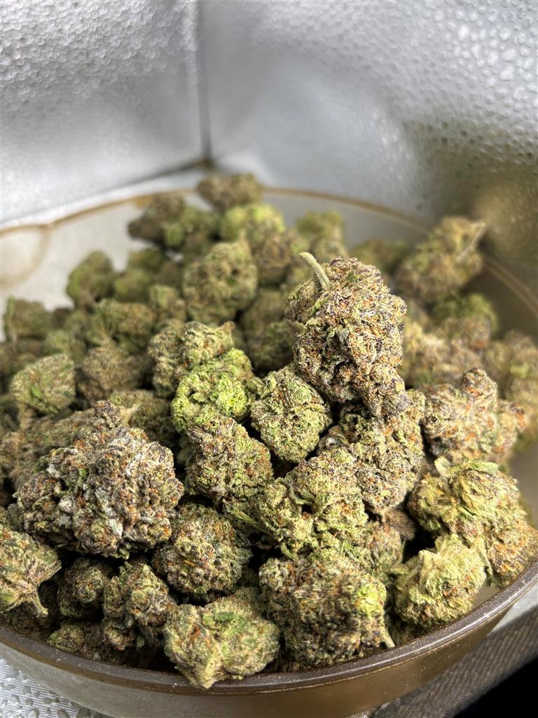 BG Gelato Indoor