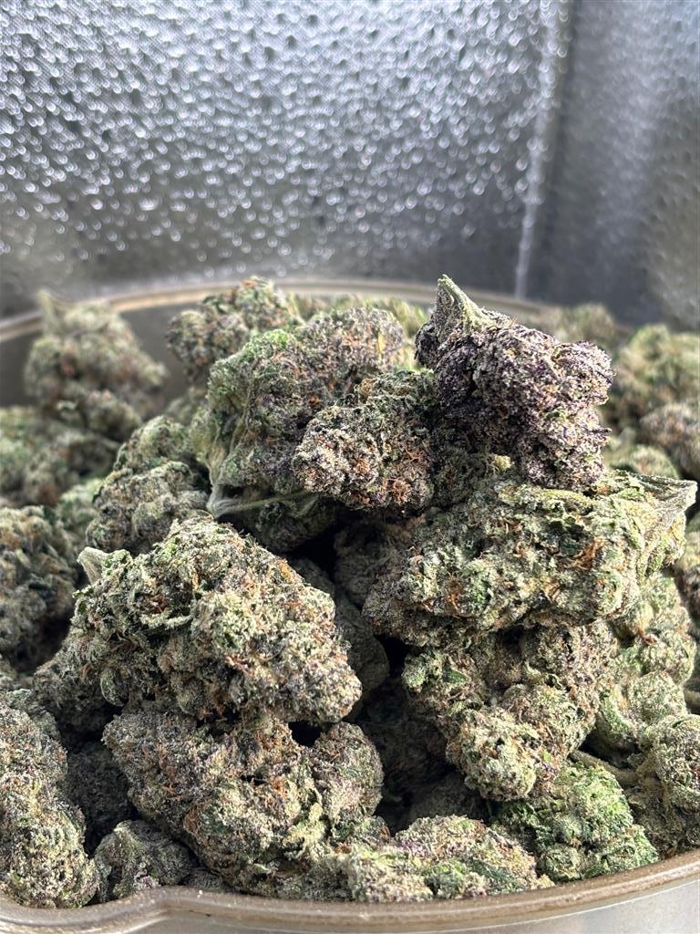 BubblegumGushers Exot