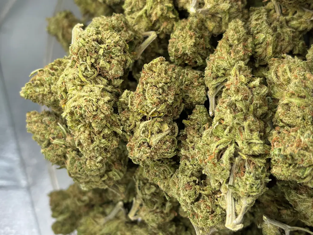 Blue Dream 