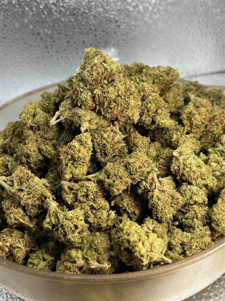 Banana Puddintain Sun