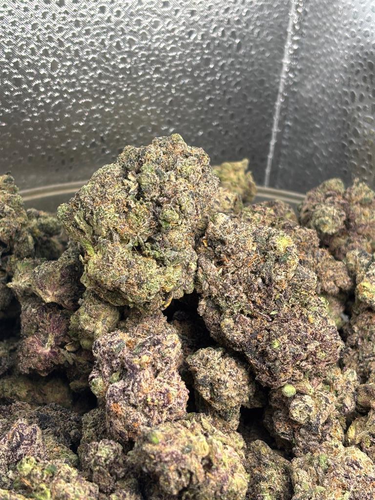 BubblegumHorchataExot