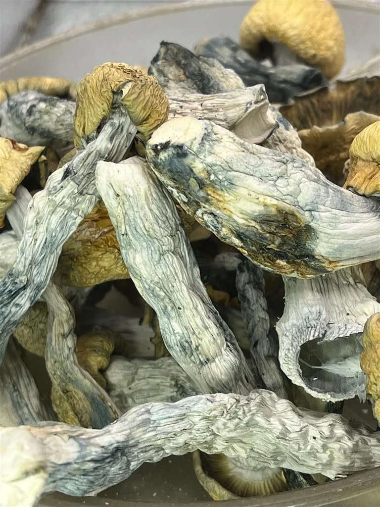 Raw Mushrooms 1/2 Oz