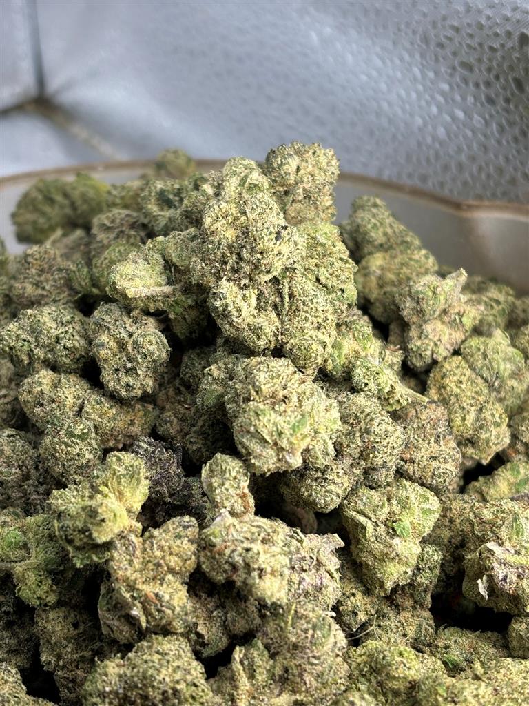 Candy Gelato Exotic