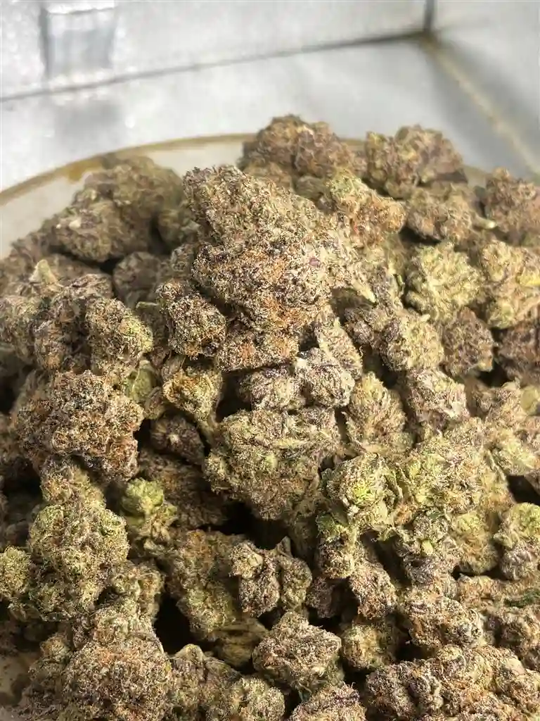 Candy Hearts Exotic