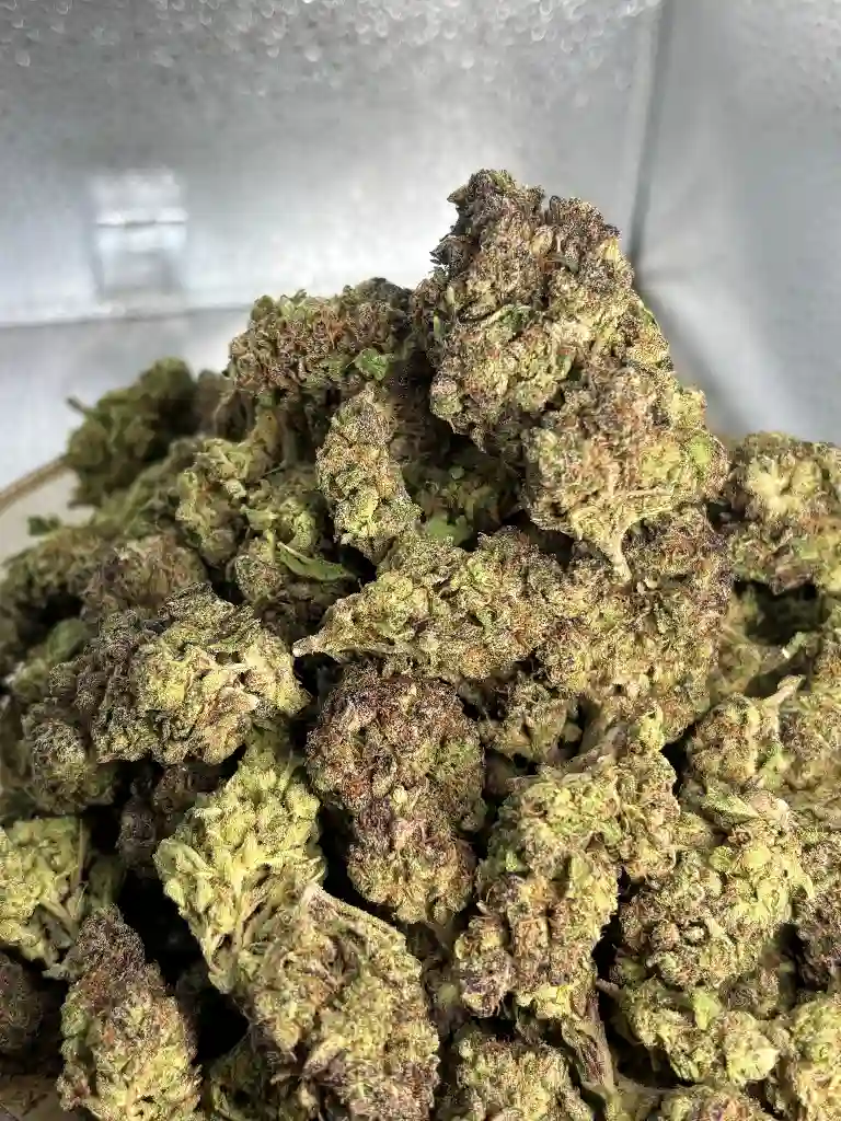 Frosted Gelato