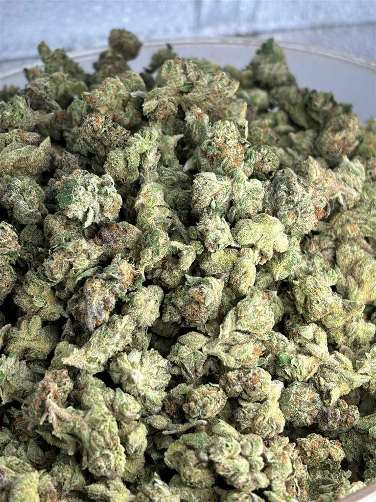 Gelato 33 Indoor Smalls