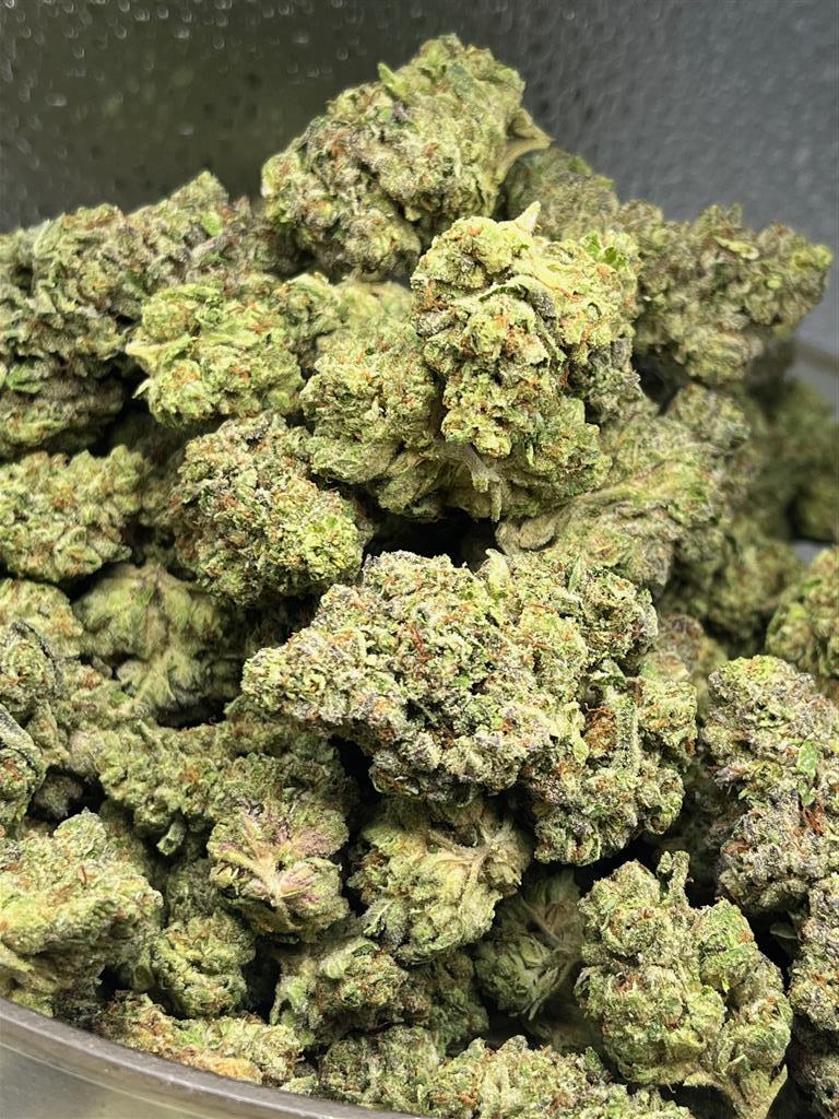 Gelato 41 Indoor
