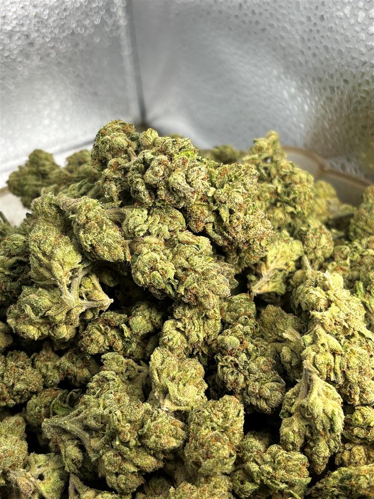 GDP x Z x OG