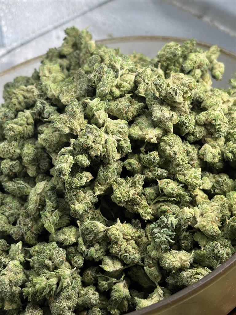 GorillaGlue#4ExotSmal