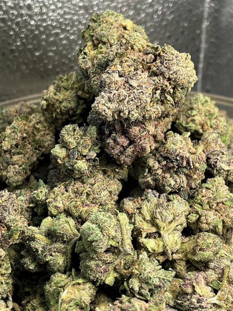 GelatoSherbert#2Exotc