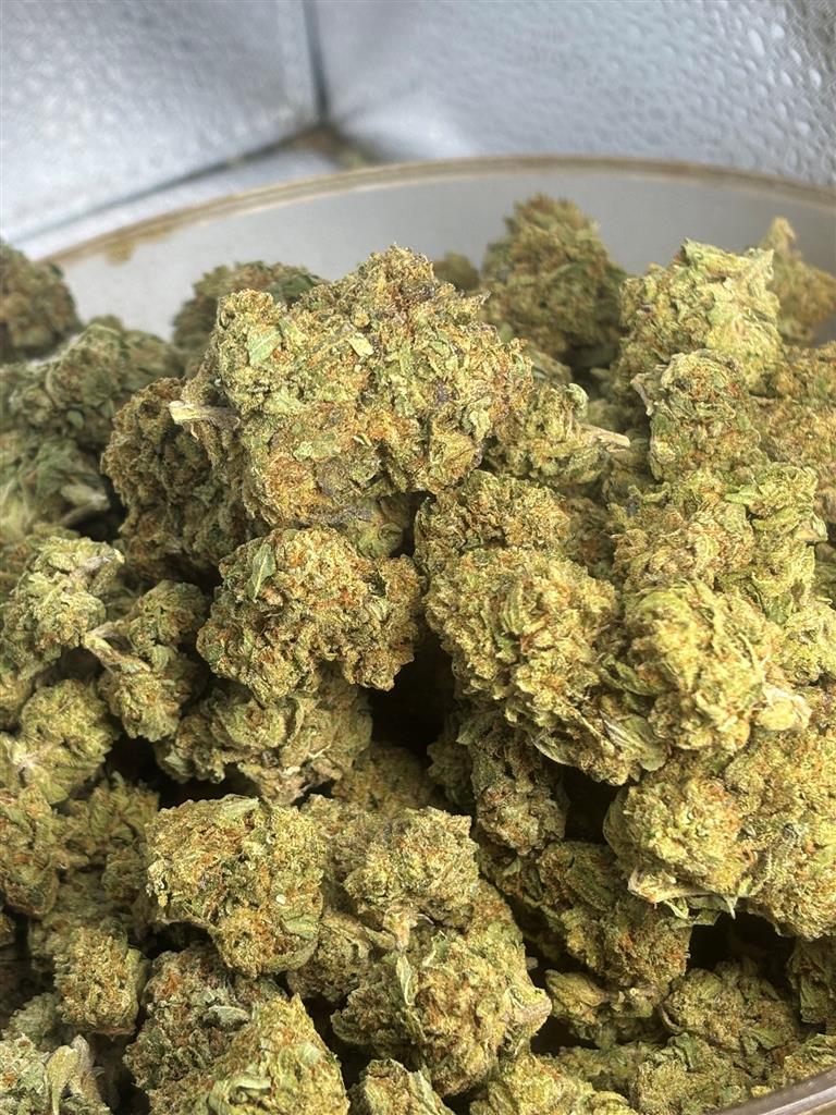 Gelato King
