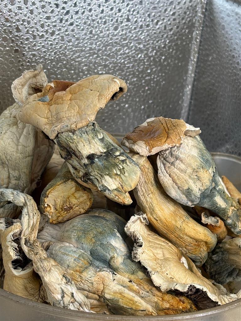 Goliath Raw Mushrooms