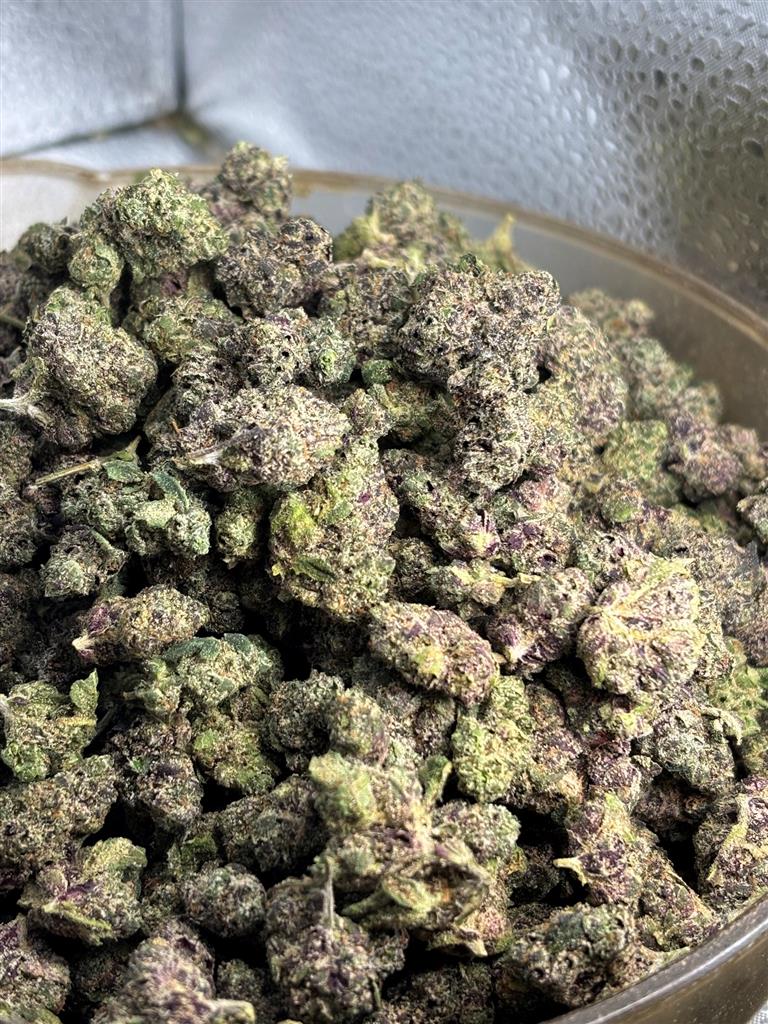 Gas Runtz Exotic Smalls
