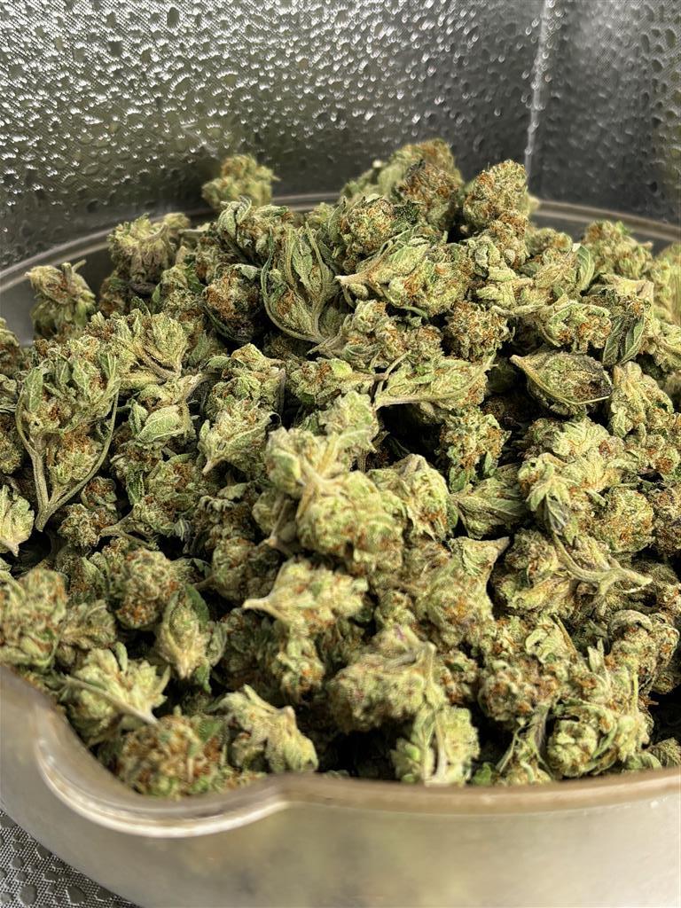 GummyBunsSungrownSmal