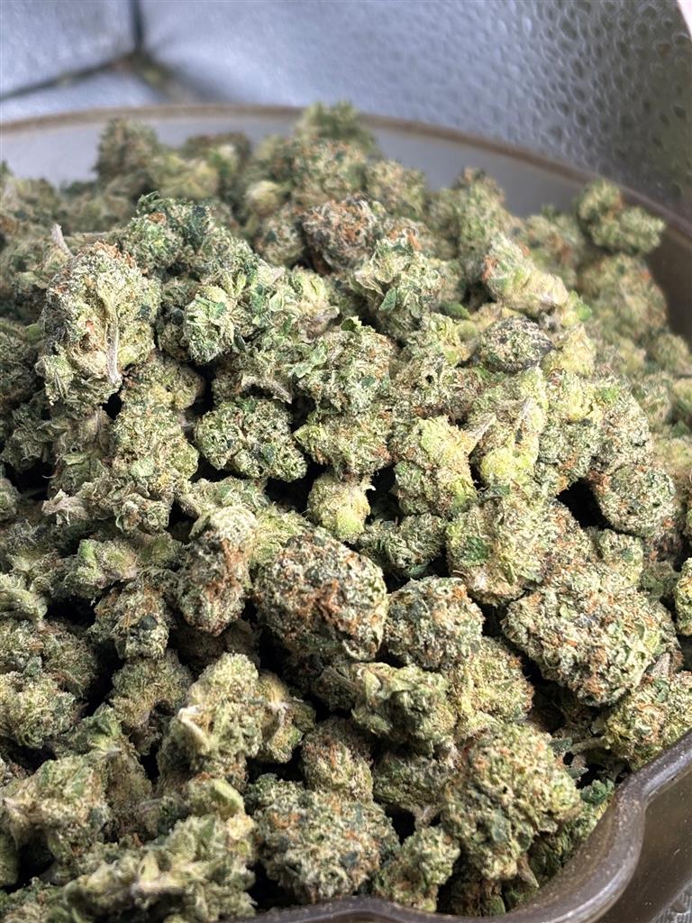 Gushers Indoor Smalls