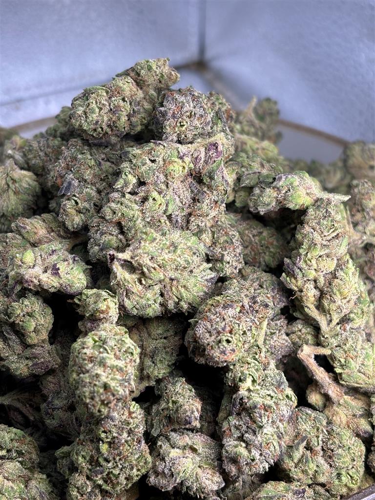 Hash Burger Exotic