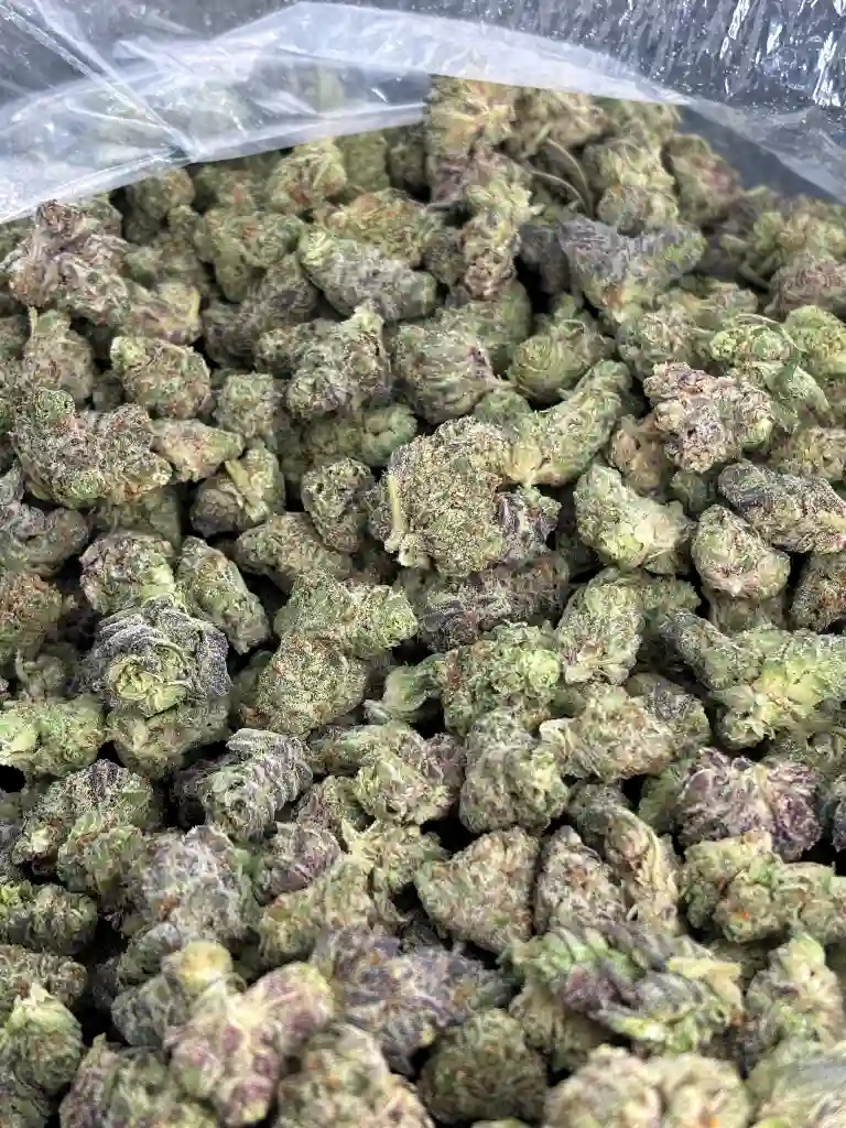 Ice Cream Cake Exotic Smalls