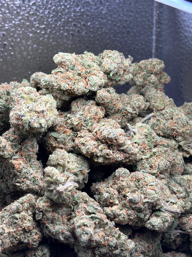 Jack Herer Exotic