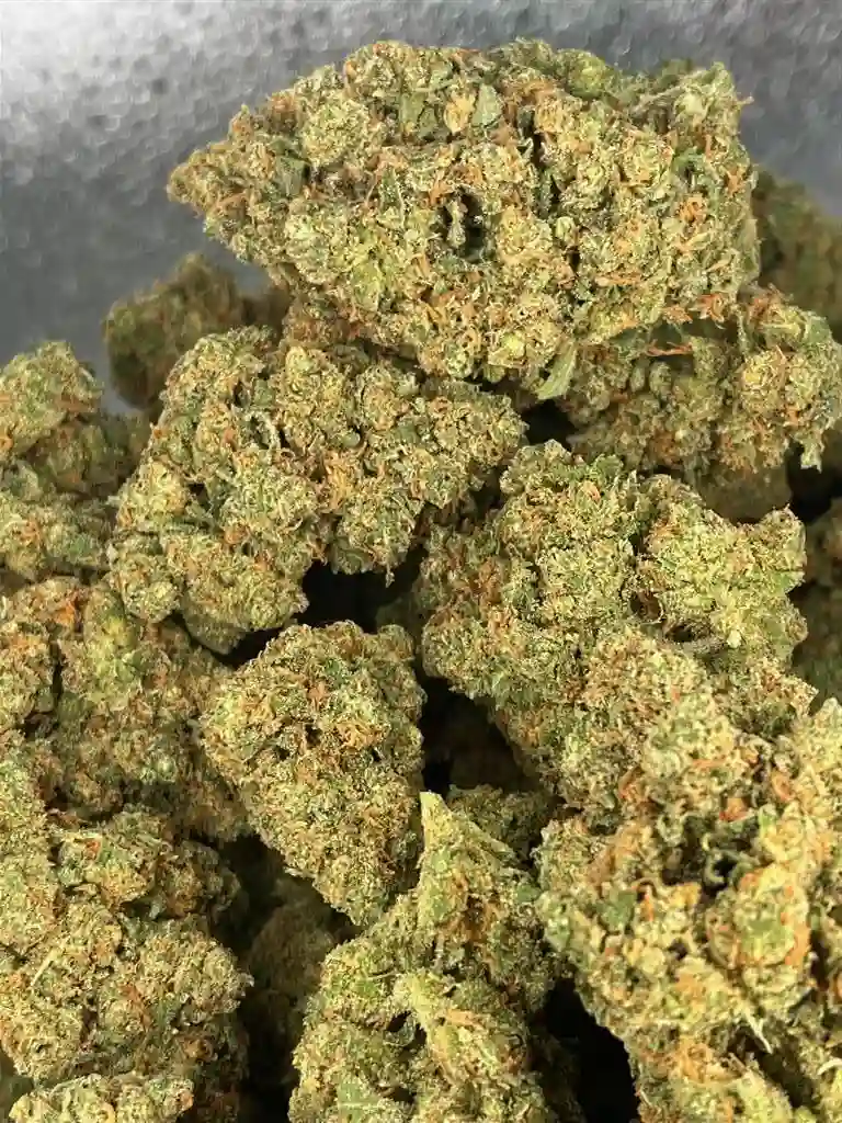 Jack Herer Exotic