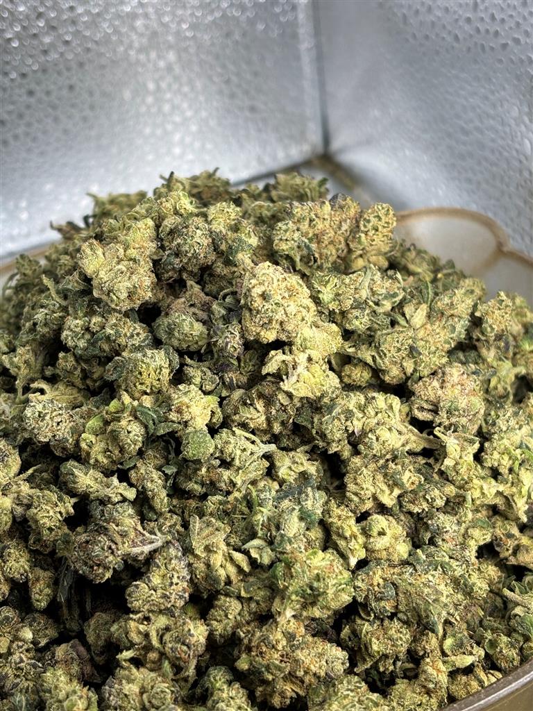 LA PopRocks Indoor Smalls