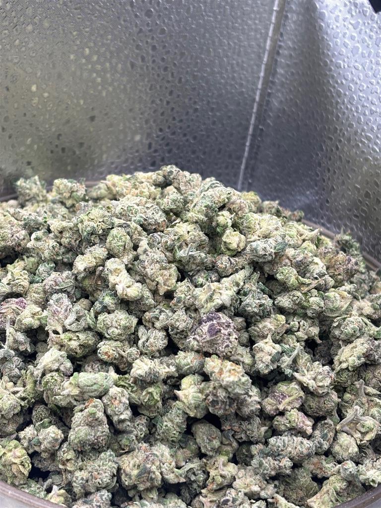 LA PopRocksExoticSmal