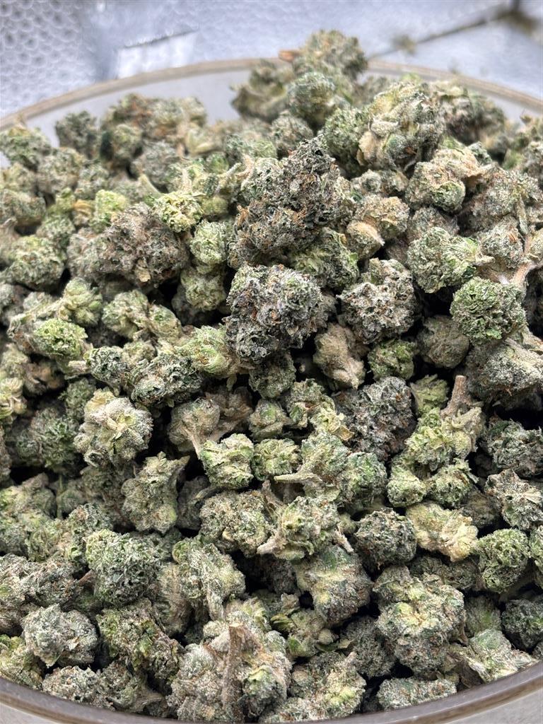 LA PopRocksExoticSmal