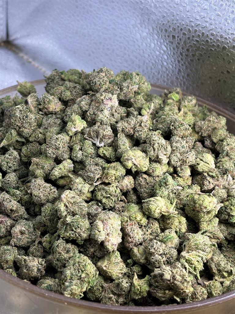 LCG Exotic Smalls