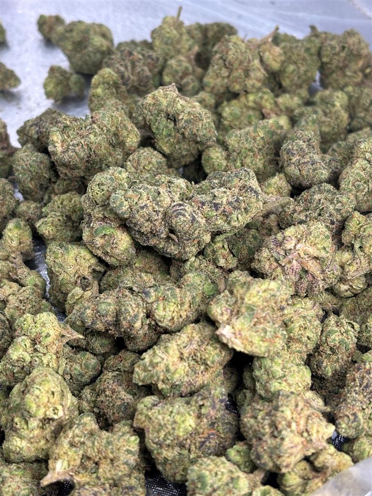 Magnum Gelato 85 Exotic