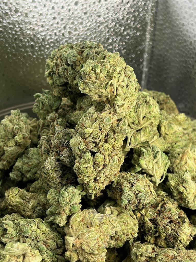 Gorilla Glue#4 Exotic