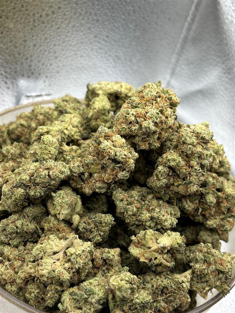 N Jack Lights Exotic