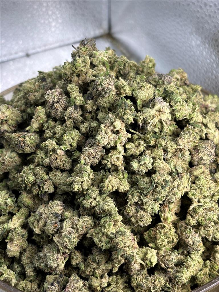 Original Pop Rocks Indoor Smalls