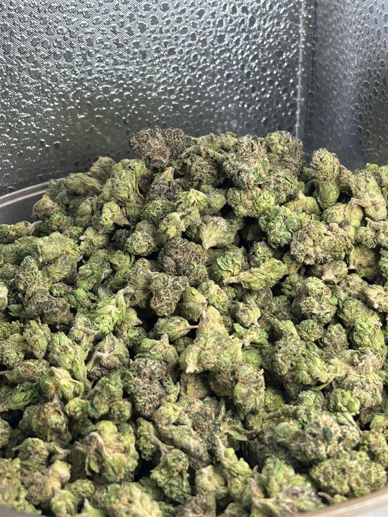 PPP X Runtz Exotic Sm