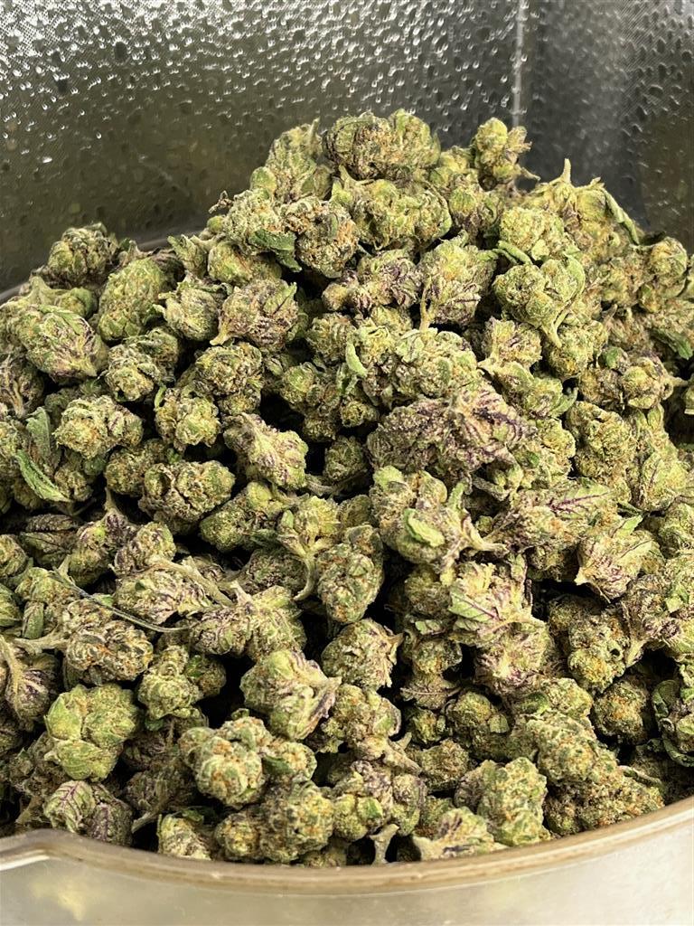 Pablo'sRevenge Smalls