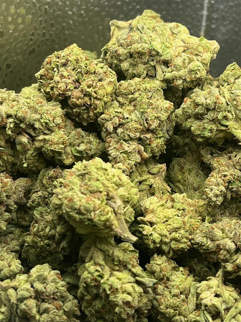 Perma Glue Indoor