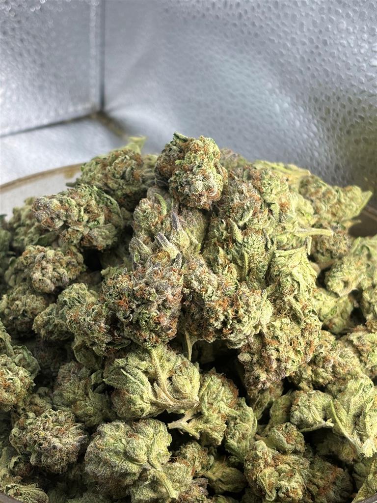 Royal Og