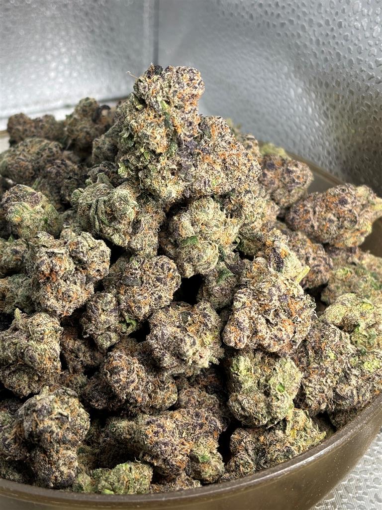 Royal Reserve Exotic