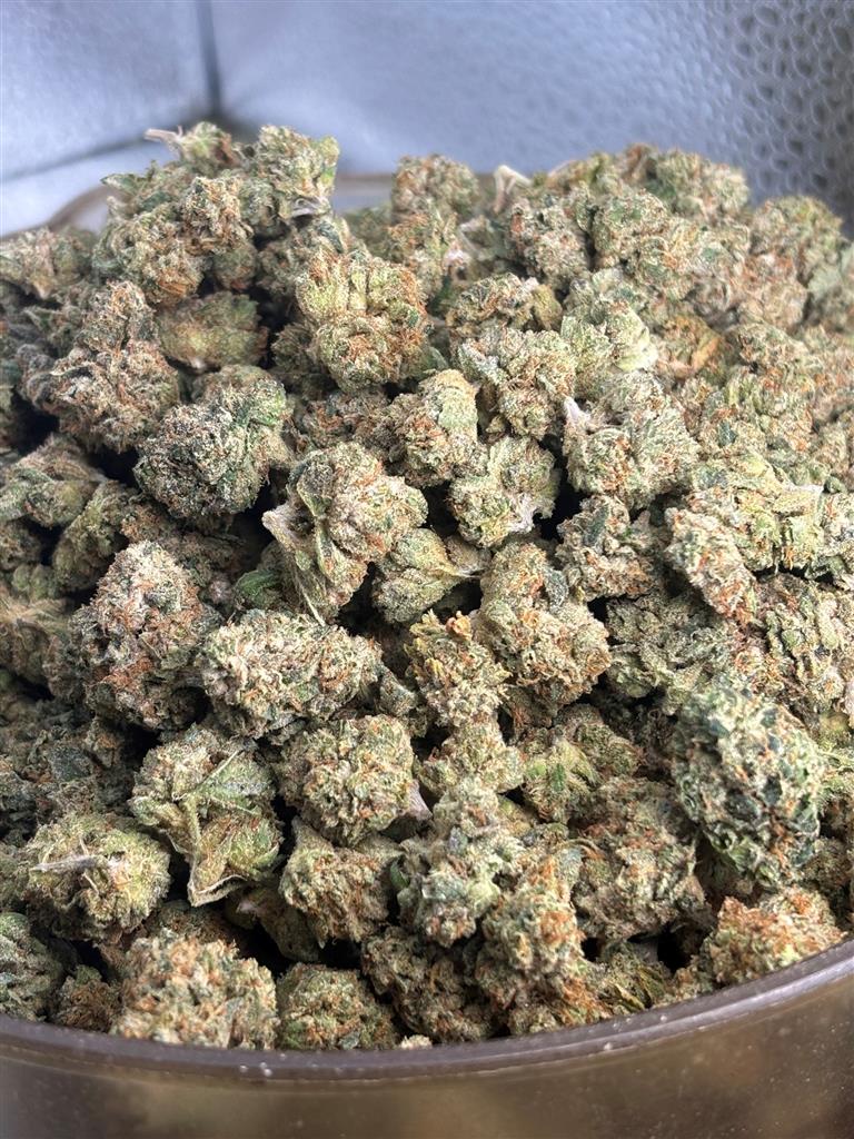 SFV OG  Indoor smalls