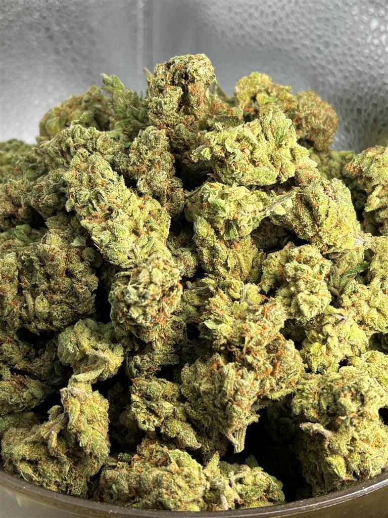 Super Lemon Haze Indoor