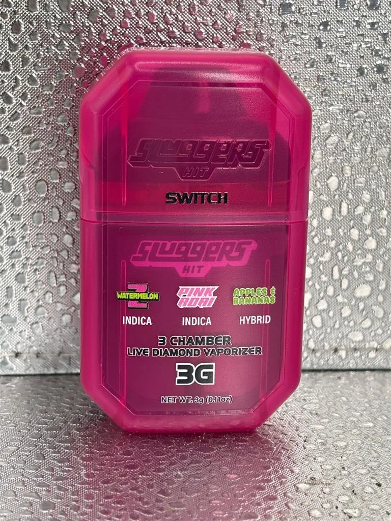 Sluggers Hit Switch 3g