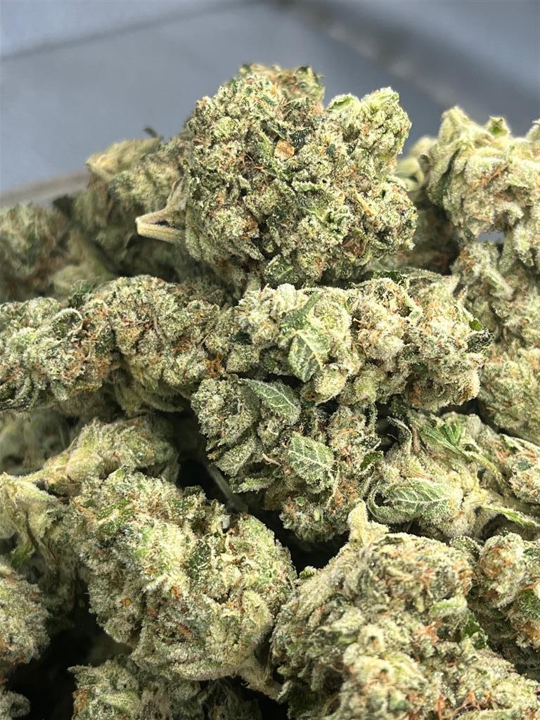 Super Glue Exotic
