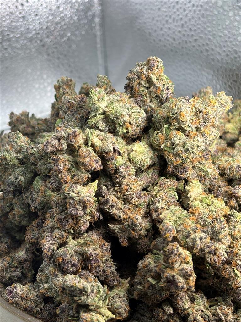 Tangie Cookies Exotic