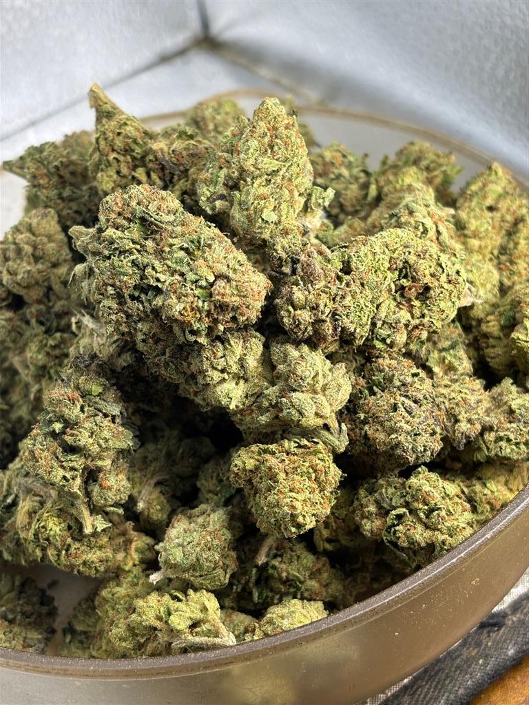 WhiteTruffle x Gelato