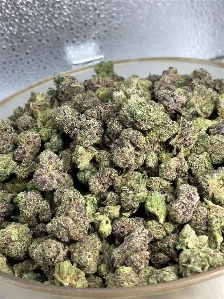 WCG Exotic Smalls