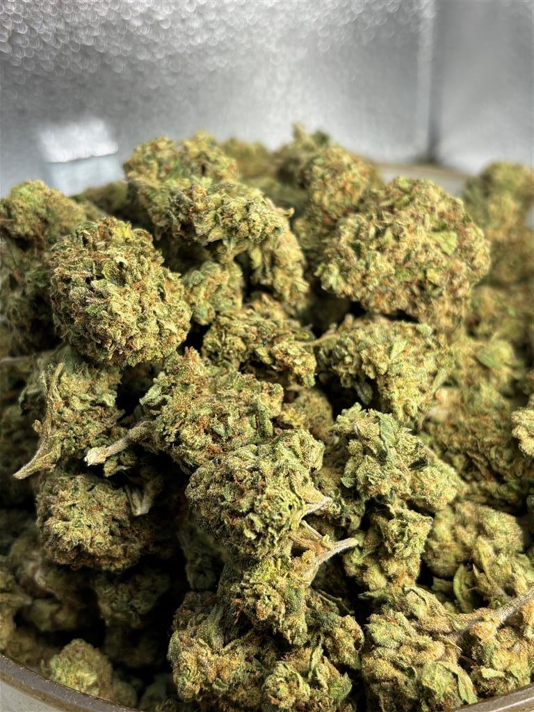 Afghan Kush Sungrown