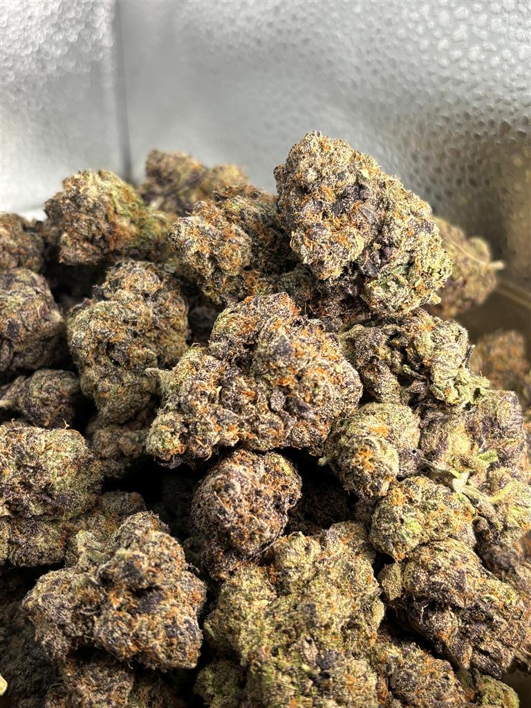 Black Cherry Gelato Exotic