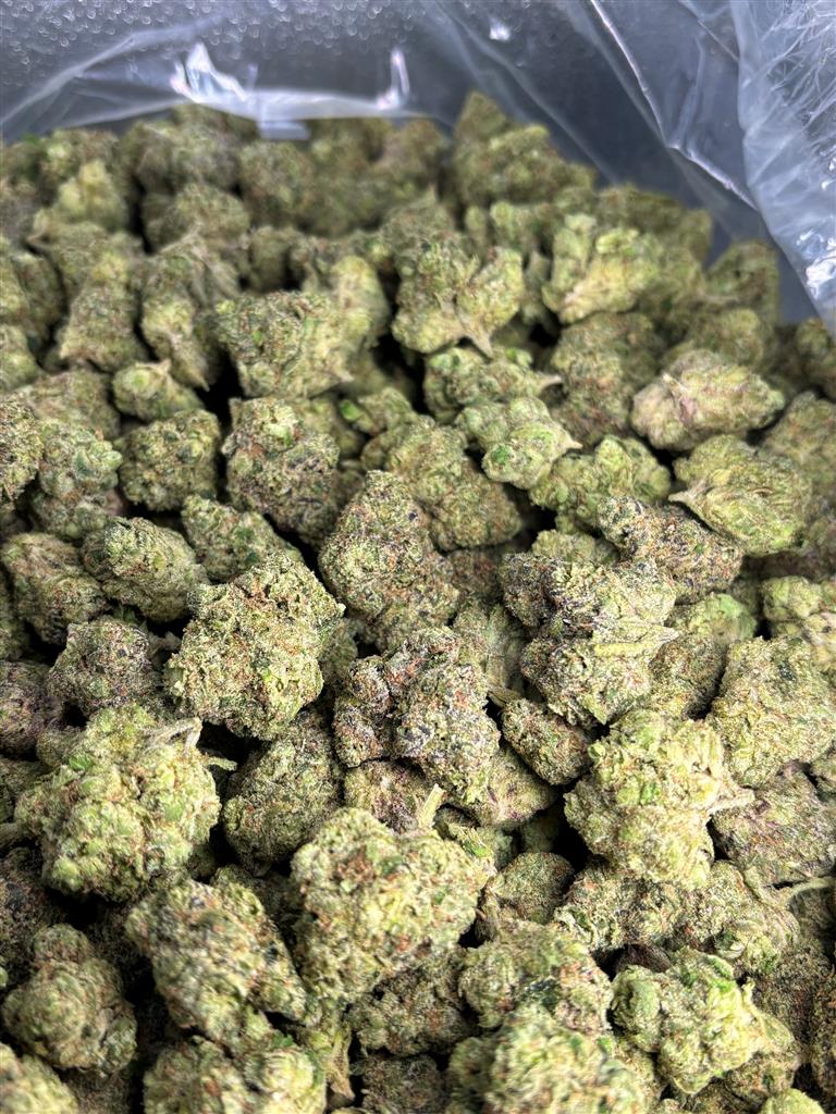 Bubblegum Zkittles Exotic
