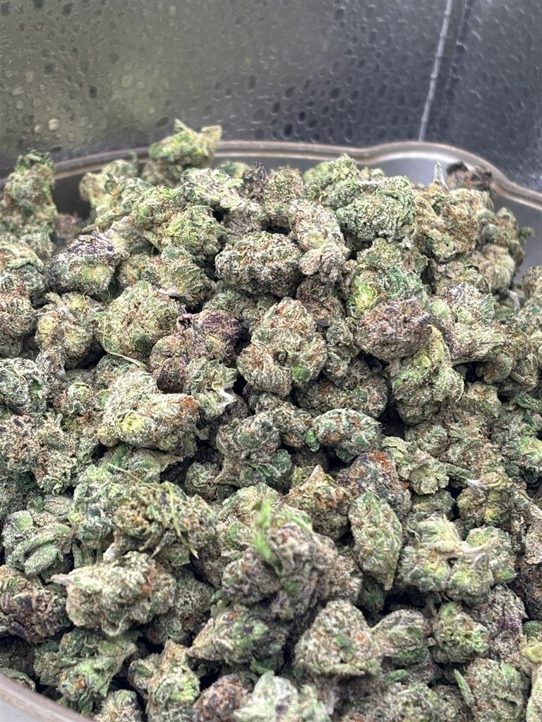 Black RuntzExotSmalls