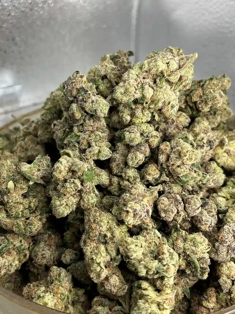Blue Guava Exotic